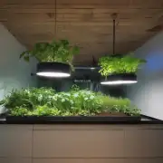 家里的光照情况如何？你是否考虑使用人工照明来帮助你的植物生长呢？