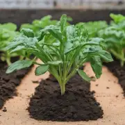 对于那些喜欢干燥或潮湿环境的植物来说，他们可能更喜欢哪种类型的土壤来保持健康成长呢？