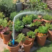 对于那些没有经验的人来说如何正确地浇水以及保持植物健康状况的最佳实践是什么？