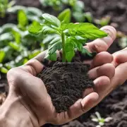我们可以使用有机肥料来提供植物所需的所有营养物质吗？