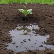 你如何知道你的土壤是否已经充分湿润了并准备好接受更多的水分了呢？
