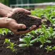 如何选择合适的土壤和肥料来帮助植物成长？