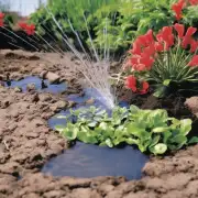 如果你决定在某个特定的时间点为迎春花生长提供水分的话，你应该使用什么样的灌溉方法来确保植物得到充分滋润而不会过度淹湿土壤？