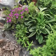 你能告诉我一些与植物有关的事物吗？