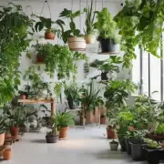 你知道哪些植物适合在室内种植吗？
