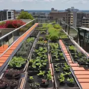 什么是“楼顶种植”？为什么有人会选择在屋顶上进行植物栽培？