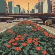 为什么需要在高速公路上种植植物和花卉呢？