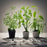 有没有一种方法可以让这些特定类型的植物在没有阳光的情况下茁壮成长？