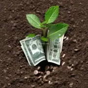 我们是否可以将碱性土用于种植金钱兜？