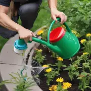 什么是最佳浇水方法以保持花卉健康和生长良好？