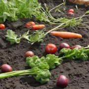 问：草木灰如何被用于种植蔬菜和水果？
