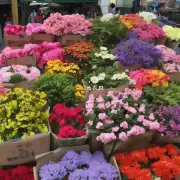 是否常见于当地的花卉市场或公园里？