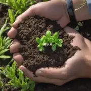 如果您想增加土壤中的氮素含量并提高植株生长速度和产量可以尝试添加哪种营养物质来实现这一目标？
