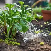 这种植物是否需要经常浇水或保持湿润土壤呢？