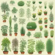 你想得到有关于不同种类盆栽和它们适合生长哪种类型的草坪的信息吗？