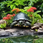 哪些类型的植物适合与龟背竹一起种植以获得最佳效果？