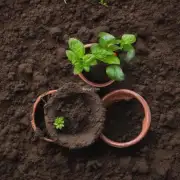 你需要在种植盆栽时使用什么类型的土壤？