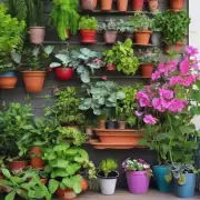 哪些植物适合放在阳台上进行养护？