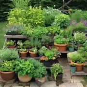 对于那些没有花园的人来说，有哪些简单易行的方法可以让他们享受自己的绿植园艺经验？