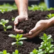 在种植时应使用什么样的土壤？