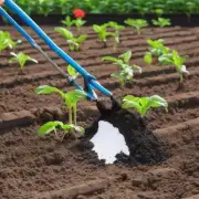 如何正确使用肥料并避免过度施加肥料造成的负面影响？