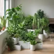 你有什么推荐用于室内环境改善的绿色植物吗？