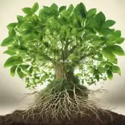 答案是植物是一种有机体由根茎和叶组成它们能够通过光合作用来制造食物并释放氧气？