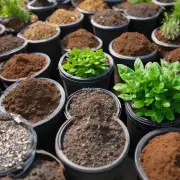 什么是最好的植物土壤？