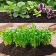 哪些类型的土壤适合种植这些植物？