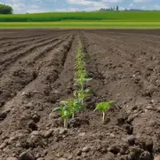 哪些因素影响了土壤质量和养分含量以及作物产量？