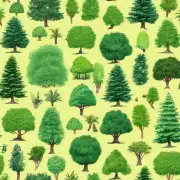 如何区分不同品种/品系的幸福树？
