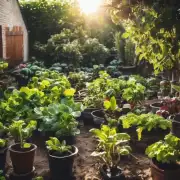 如何确保您的花园和盆栽能在严寒季节里得到足够的阳光、水分和其他养分？