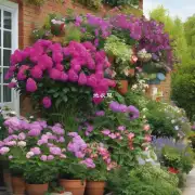 如果你想要一个特别漂亮的花园或阳台你可以考虑哪些季节性开花植物的选择？