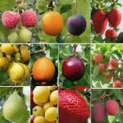 哪些水果在春天最适合生长和收获？
