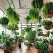 你知道哪些绿植适合在室内种植吗？