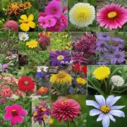 如果您想让您的花园更加多样化如何与其他类型的花朵进行搭配使用呢？