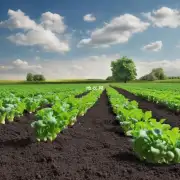 如果增加土地肥料可以改善土壤质量吗？