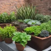 如何选择合适的植物和盆子尺寸比例以确保良好的生长环境？