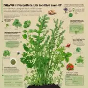 这种肥料是否适用于所有的花草类品种？
