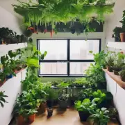 在室内种植什么植物可以保持空气清新？