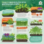 种植时要注意什么因素来保证良好的生长环境？
