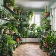 如果你想要一些更加大型复杂的绿色植物作为装饰品有哪些选择可供你考虑呢？
