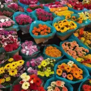有哪些本地市场出售鲜花呢？