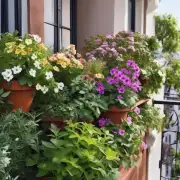 如果您想要在阳台或露台种植一些小型花卉和灌木，哪种类型适合这些地方呢？