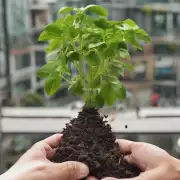 如果你已经拥有了一种特定的有机物质（如动物粪便），如何将其转化为可用于植物生长的腐殖质?