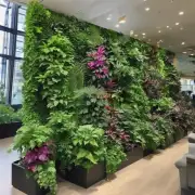这些植物是否可以用于装饰房间或者办公室？