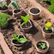 使用泥土还是沙子填充花盆对于种植不同的植物有何影响？
