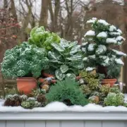 哪些室内或室外绿植能够在寒冷天气下存活并茁壮成长？