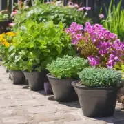有些植物可能会有特殊的需求，比如某些喜阳性的植物会更愿意长在阳光充足的地方。因此你是否知道你的小花园中有没有这样的特殊要求？