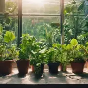 如果植物不能直接接受阳光照射的话，那么它还需要其他环境因素吗？